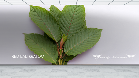 Red Bali Kratom