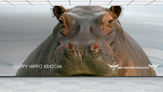 happy hippo kratom
