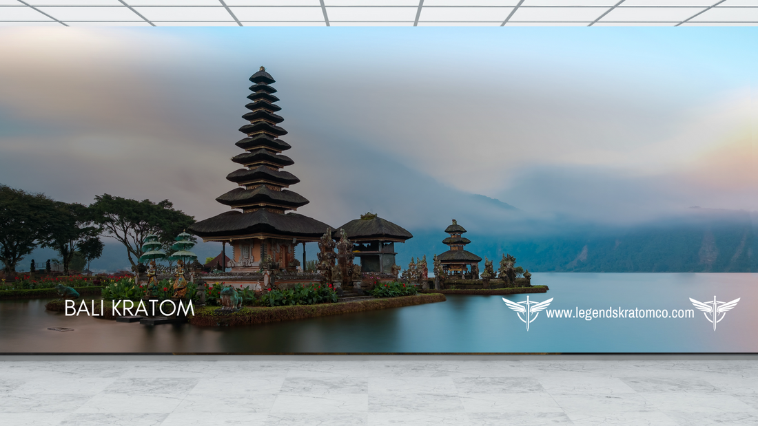 Bali Kratom