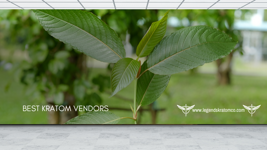 Best Kratom Vendors