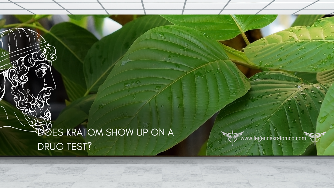 does kratom show up on a drug test