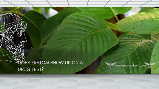 does kratom show up on a drug test