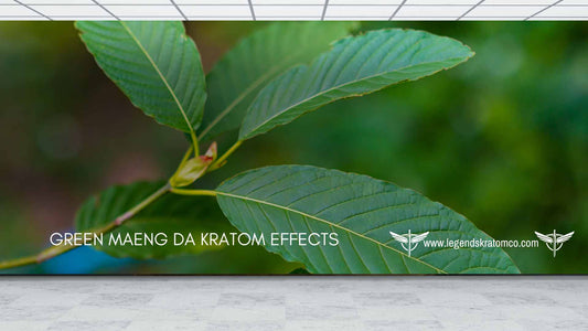 Green Maeng Da Kratom Effects