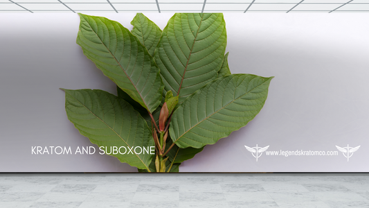 Kratom and Suboxone