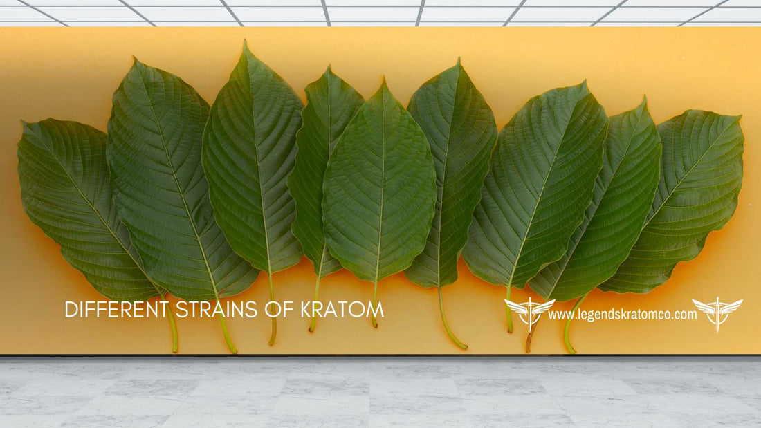 Different Strains of Kratom