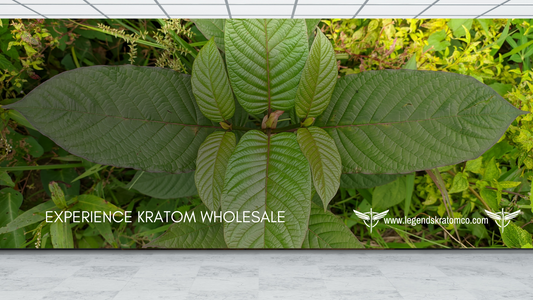 experience kratom wholesale	