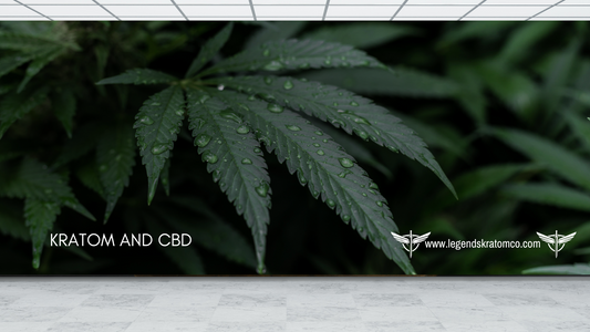 kratom and cbd