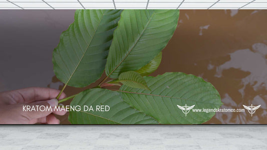 kratom maeng da red