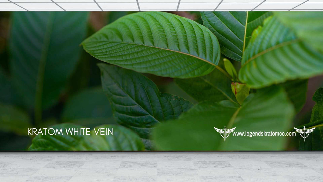 Kratom White Vein