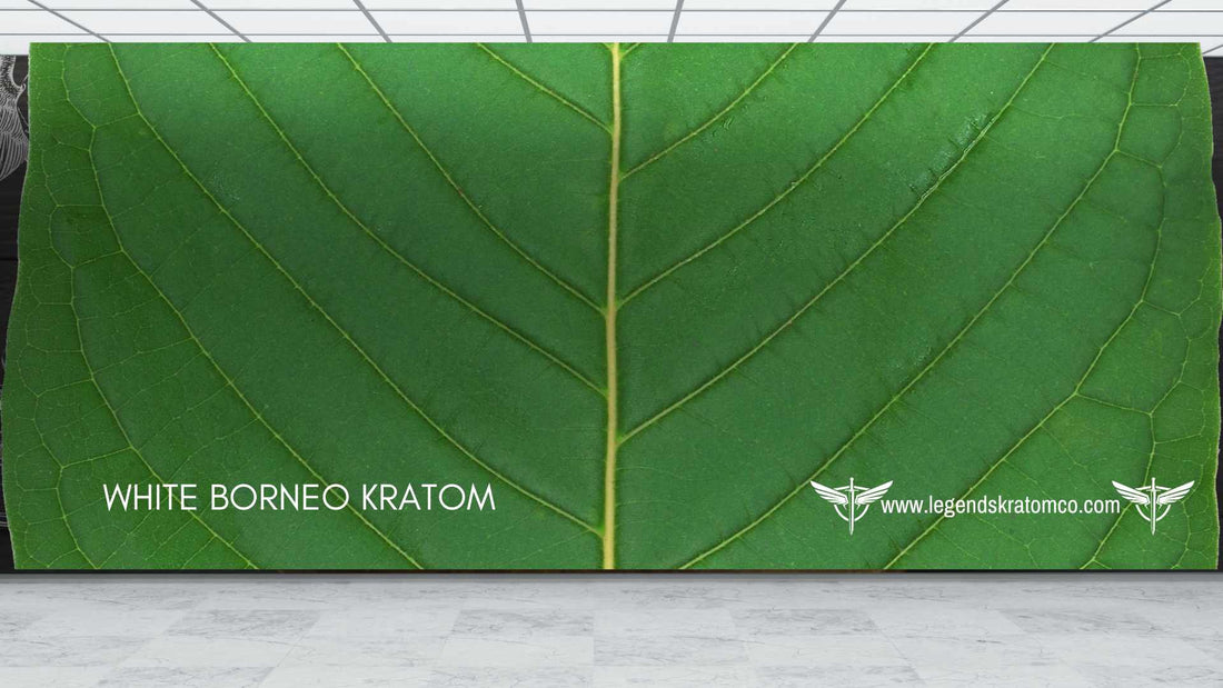 White Borneo Kratom