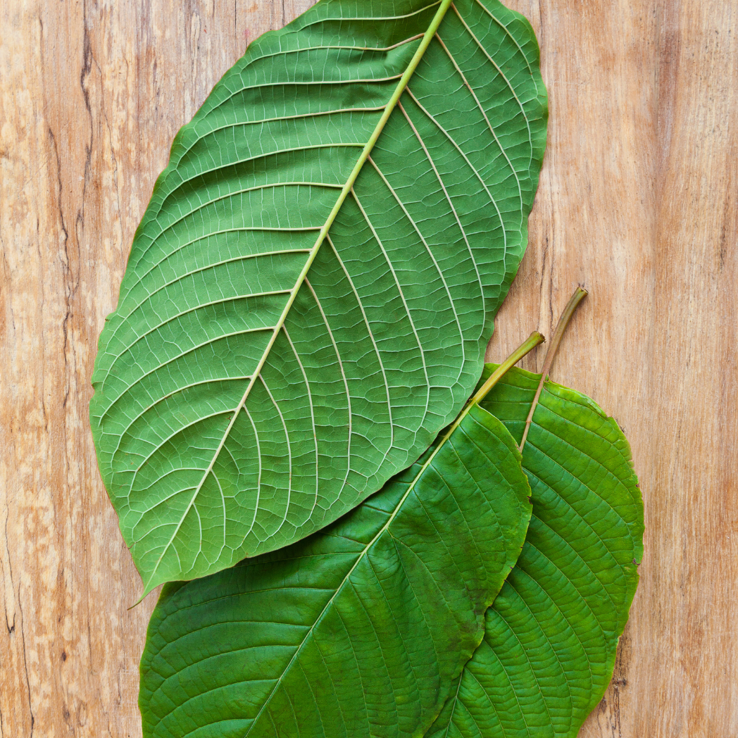 green strain kratom effects